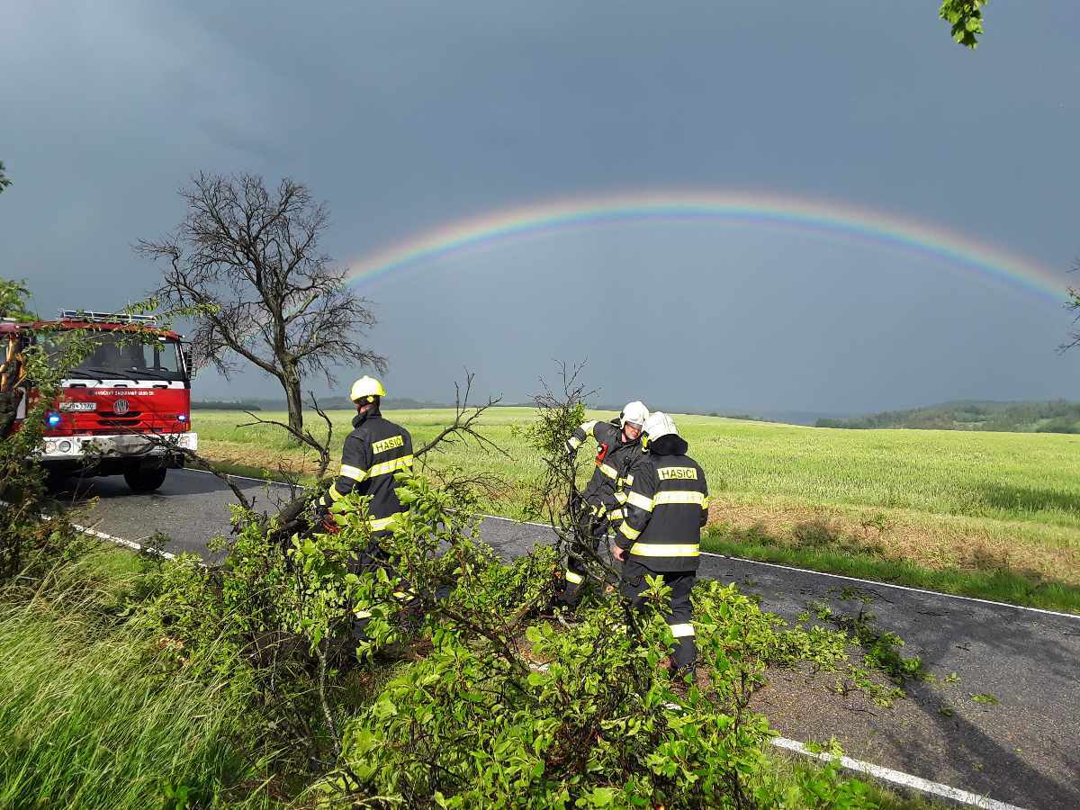 Hasiči na Vysočině odstraňovali popadané stromy.
