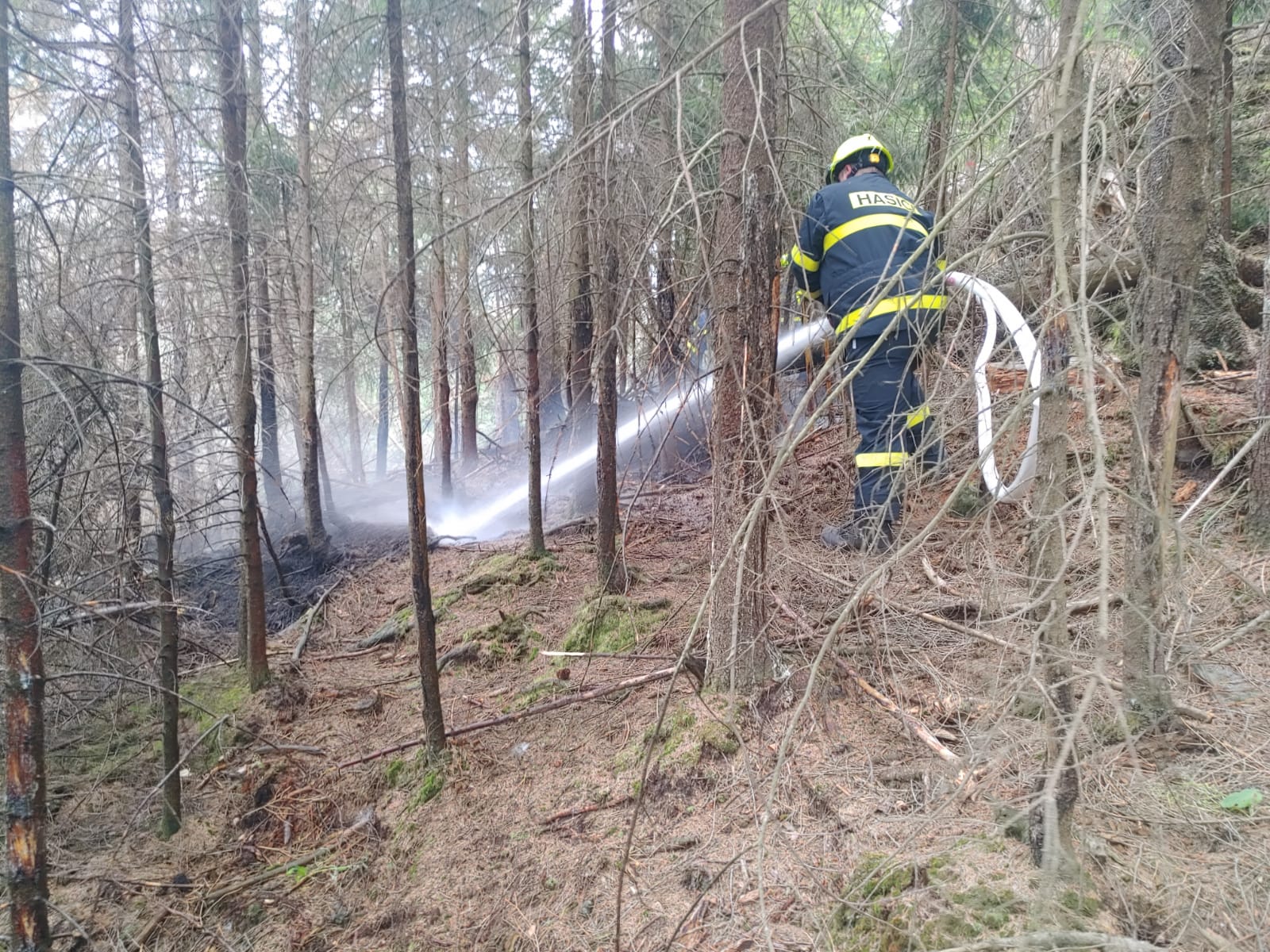 Hřensko -3odřad (13).jpg