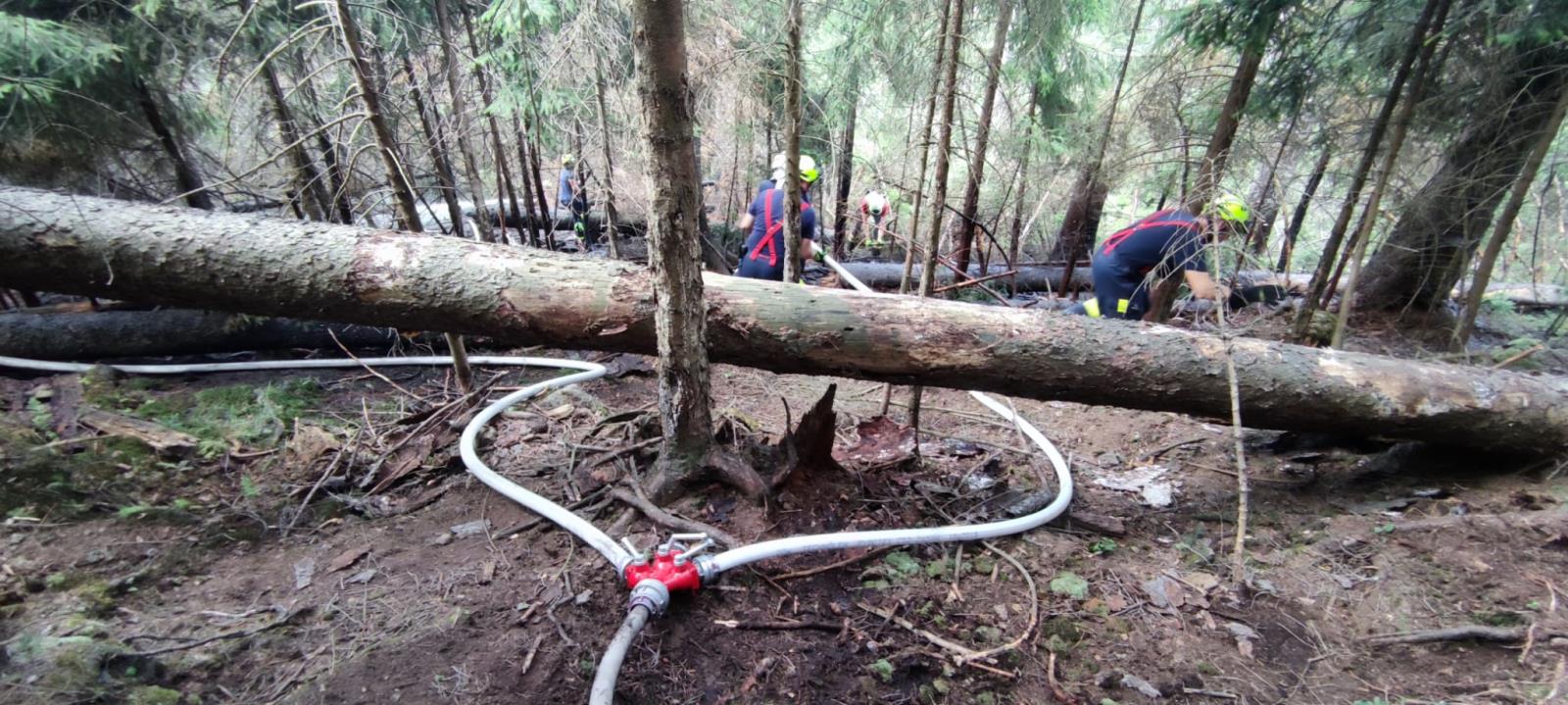 Hřensko -3odřad (16).jpg