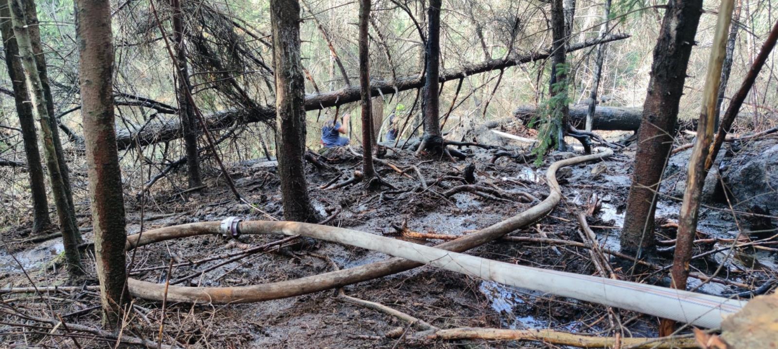 Hřensko -3odřad (18).jpg