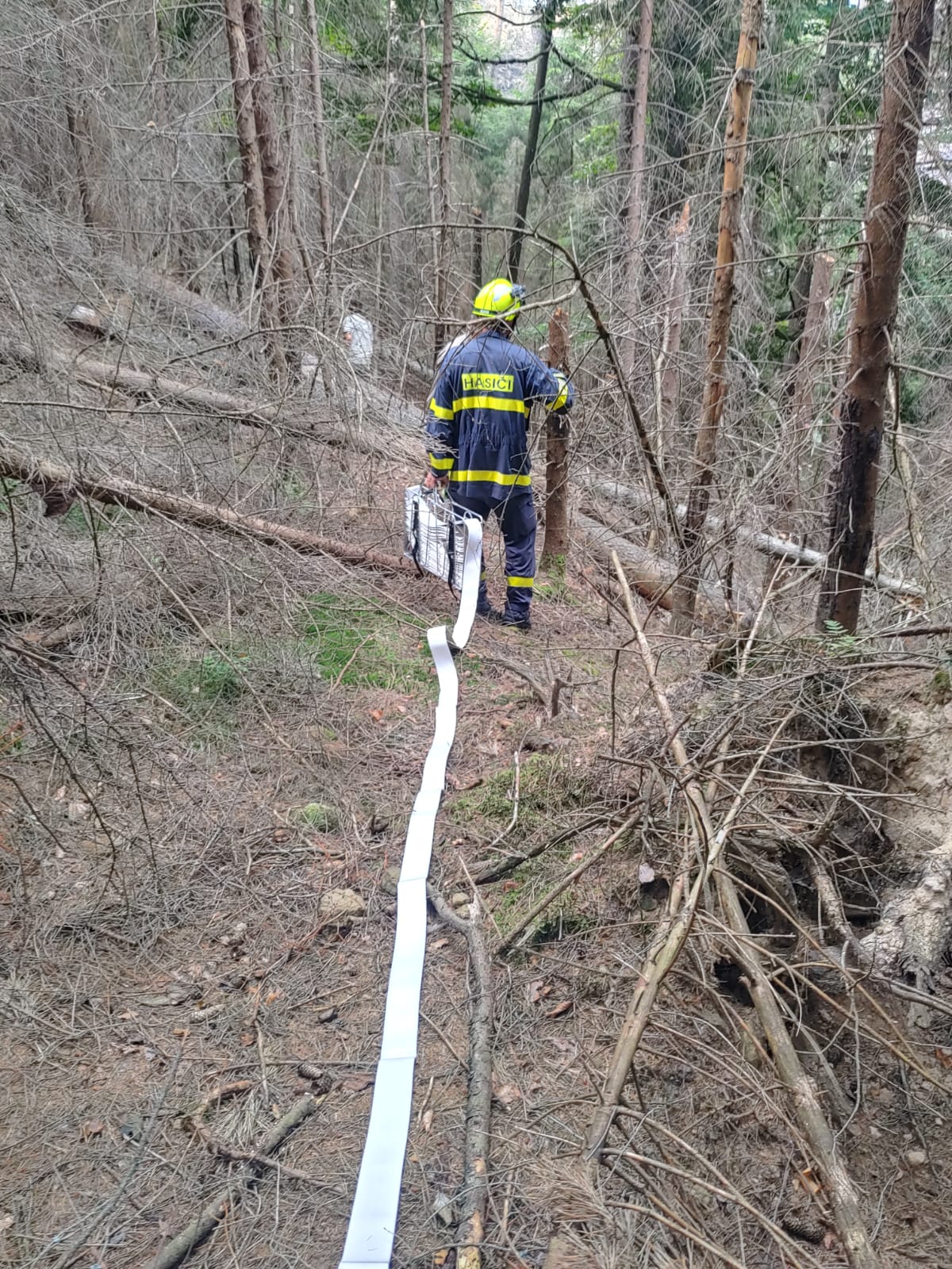 Hřensko -3odřad (2).jpg