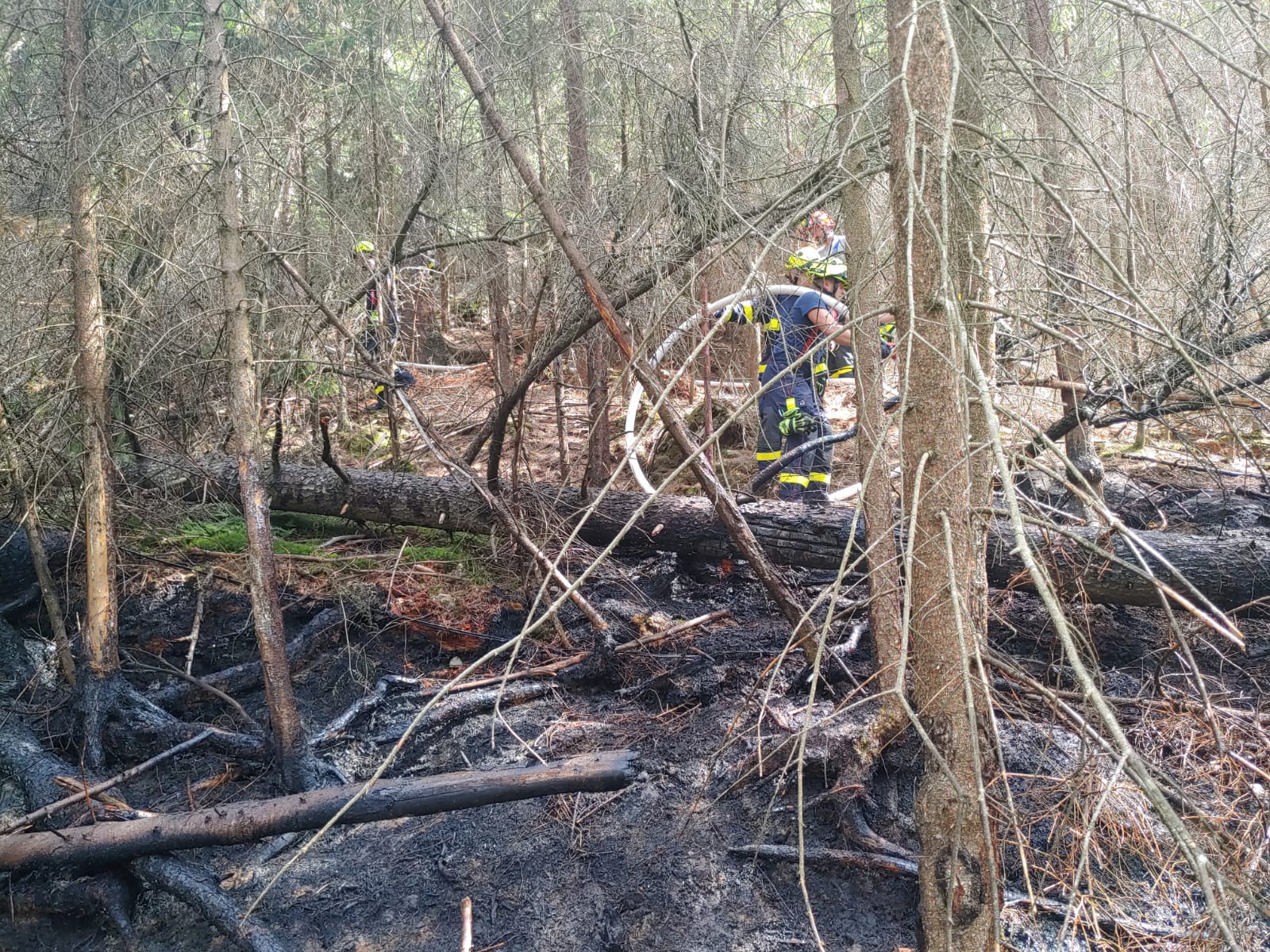 Hřensko -3odřad (5).jpg