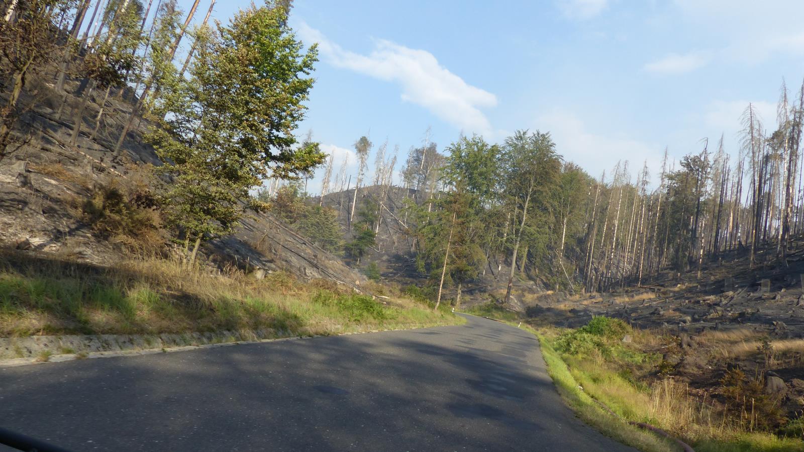 Hřensko - Mezní Louka_27. 7. 2022 (1)