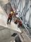 IMG-20191013-WA0007