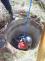 IMG-20200327-WA0021