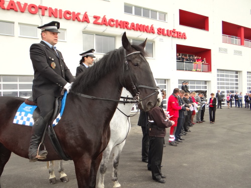 IVCOstrava-Jihotevreni_peku (4).JPG