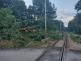 JČK_Hasiči odklízí strom z kolejí