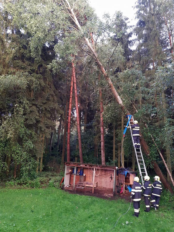 JSDH Borohrádek (3).jpg