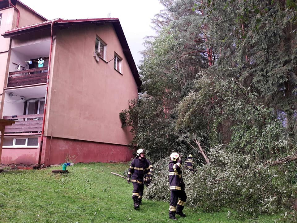 JSDH Borohrádek (2).jpg