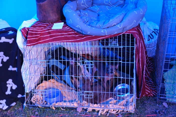 KACPU_Ostrava_den 8 (21).JPG