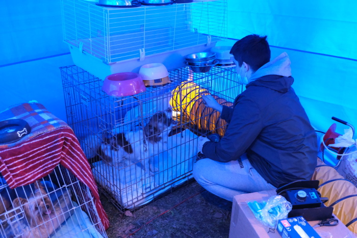 KACPU_Ostrava_psi (4).JPG