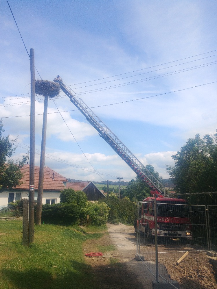 Kroužkování čápů na Velkomeziříčsku