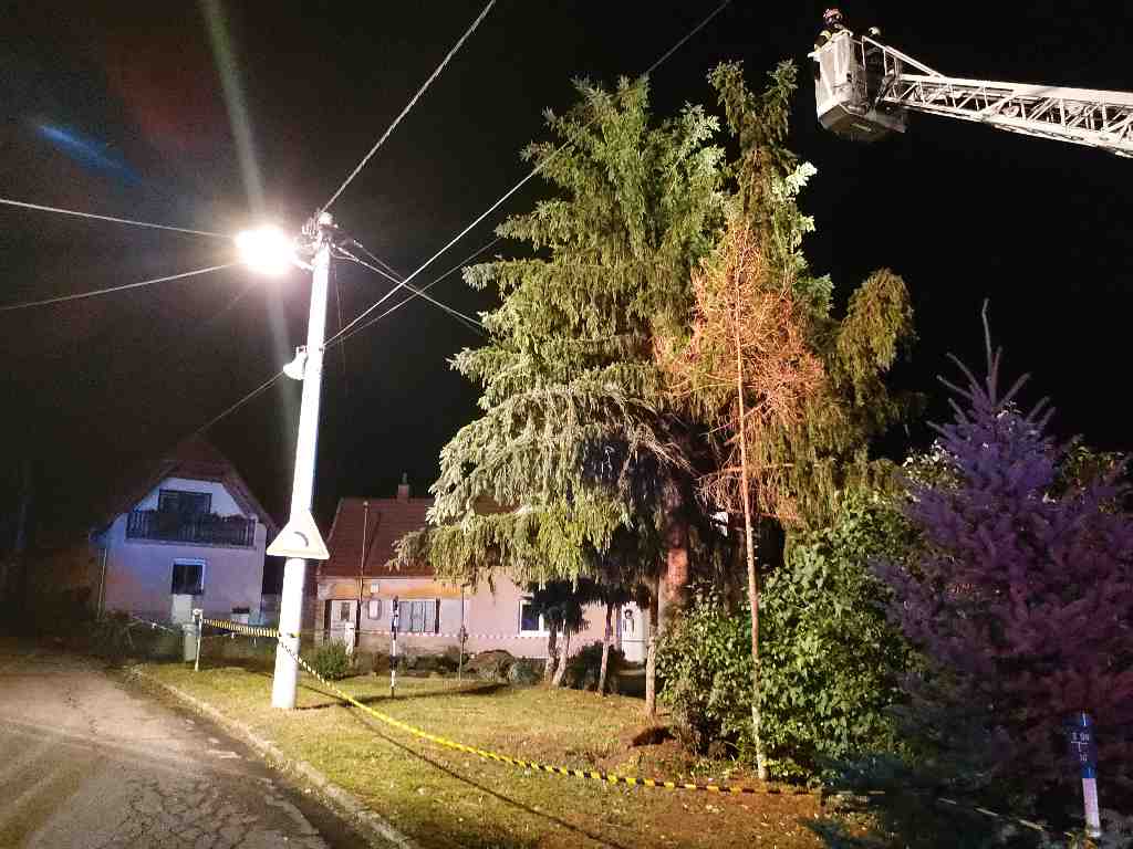 Krumvíř.jpg