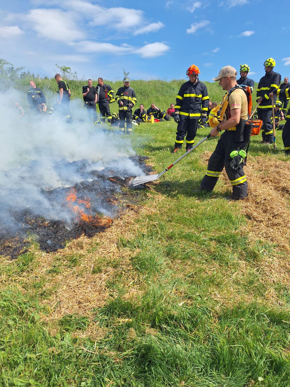 Lesni požáry (1).jpeg