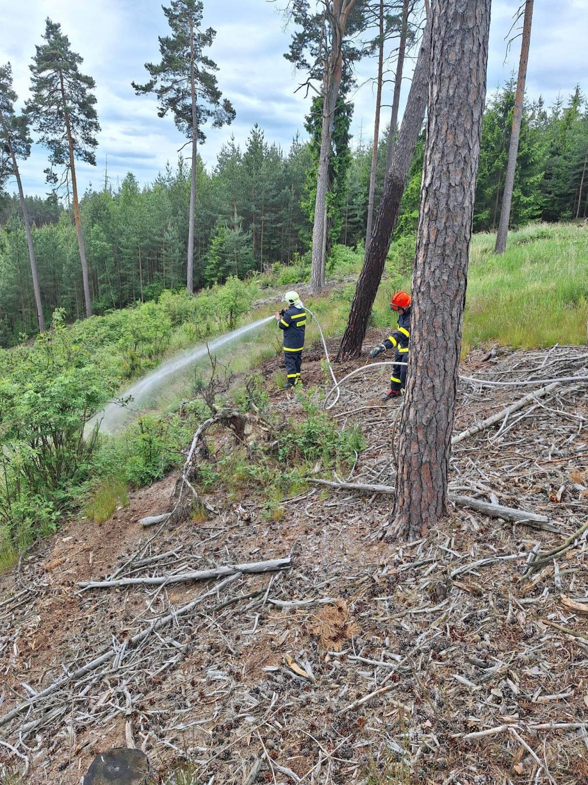 Lesni požáry (3).jpeg