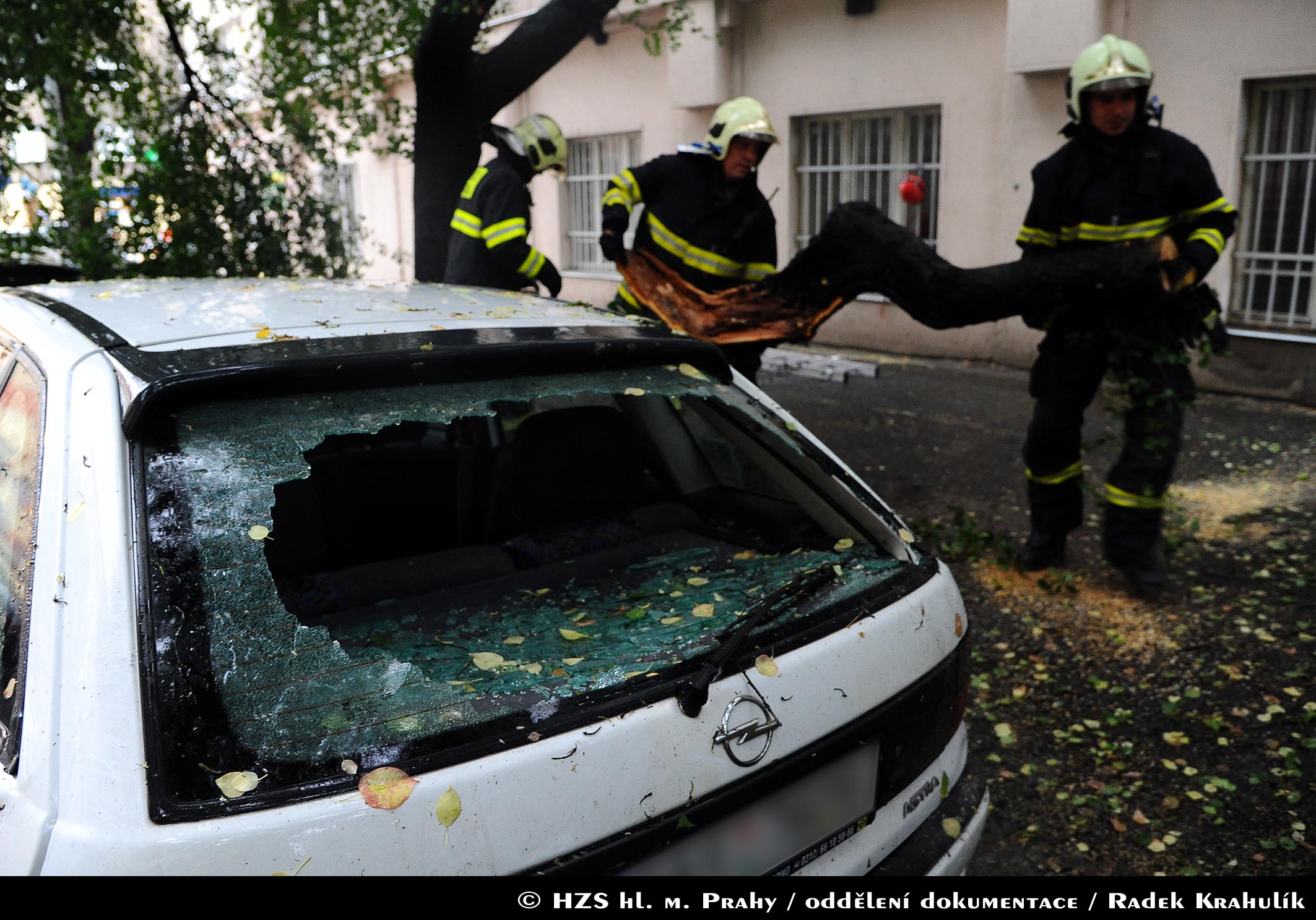 Likvidace větve spadlé na automobil, Biskupcova ulice, Praha 3, srpen 2015
