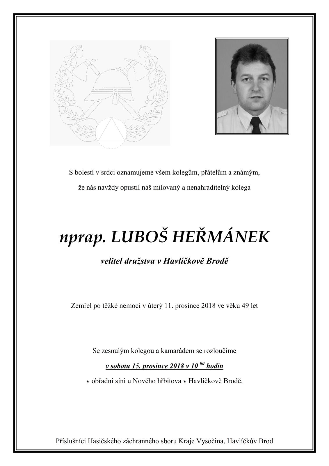 Luboš Heřmánek.jpg