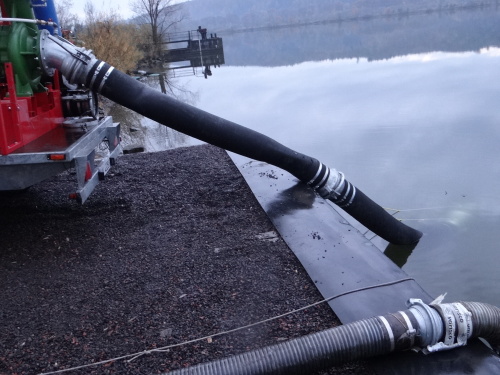 MODEXcerpaniRumItHlucin (16).JPG