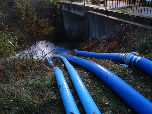 MODEXcerpaniRumItHlucin (2).JPG