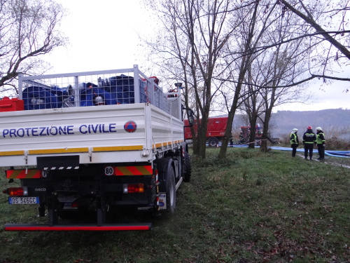 MODEXcerpaniRumItHlucin (22).JPG