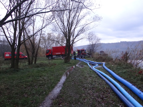 MODEXcerpaniRumItHlucin (23).JPG