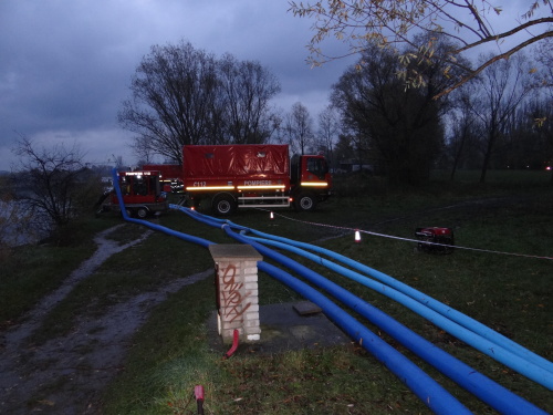 MODEXcerpaniRumItHlucin (5).JPG