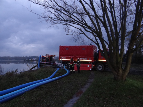 MODEXcerpaniRumItHlucin (7).JPG