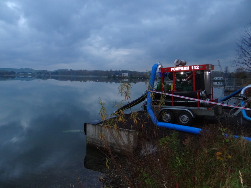 MODEXcerpaniRumItHlucin (9).JPG