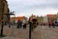Mistrovství HZS ČR v TFA, Plzeň (autor HZS PlK) (8)