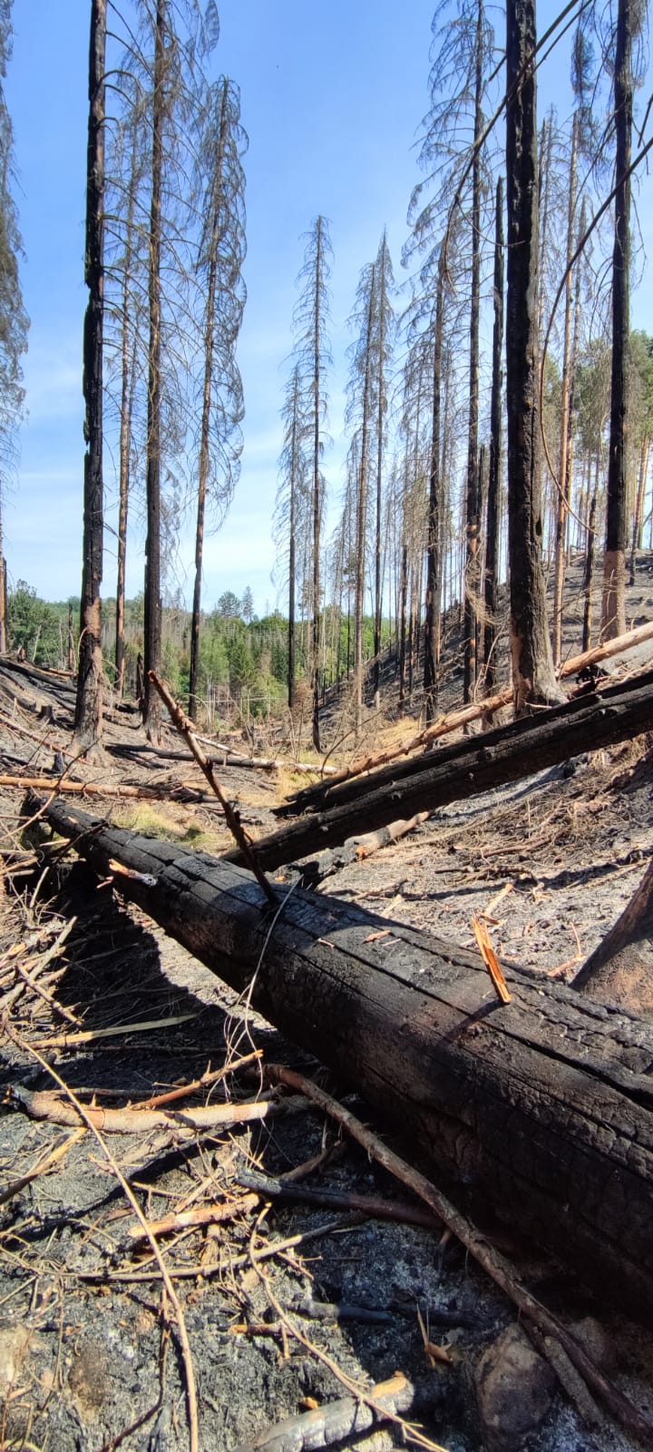 NP ČŠ čtvrtek4-8-2022 (10).jpg