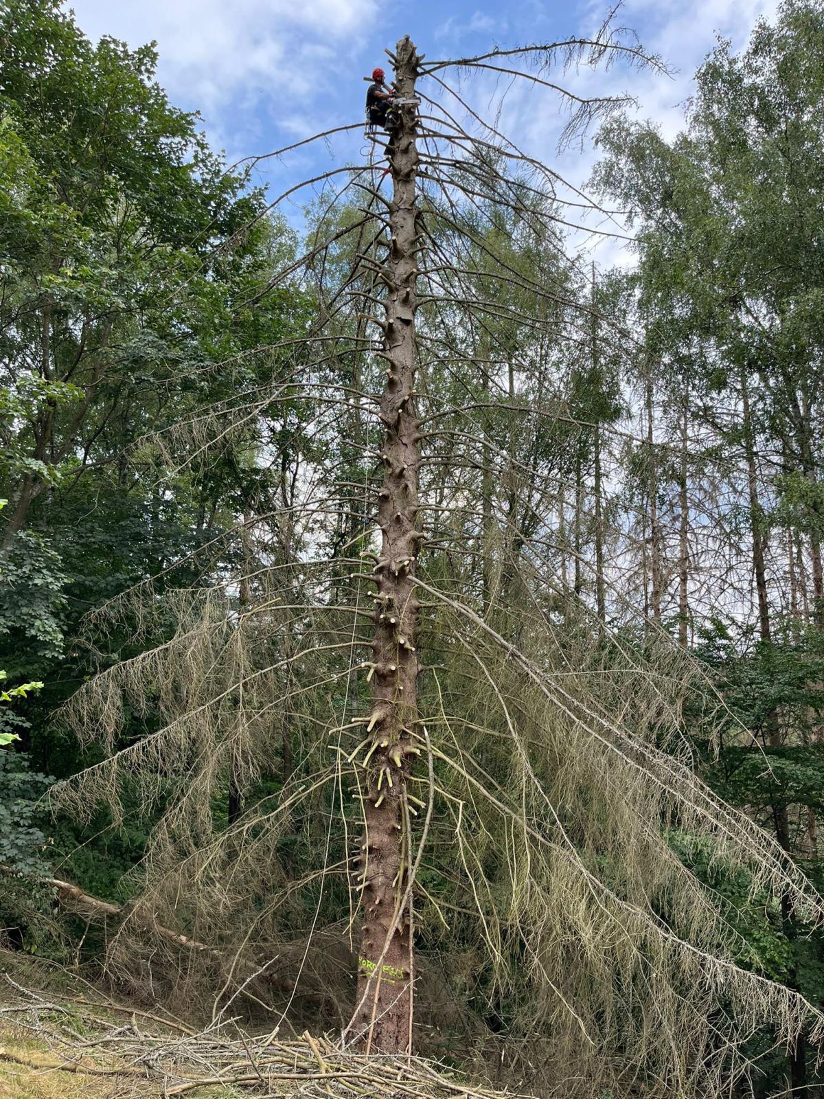 NP ČŠ pátek 29-7-2022 (4).jpg