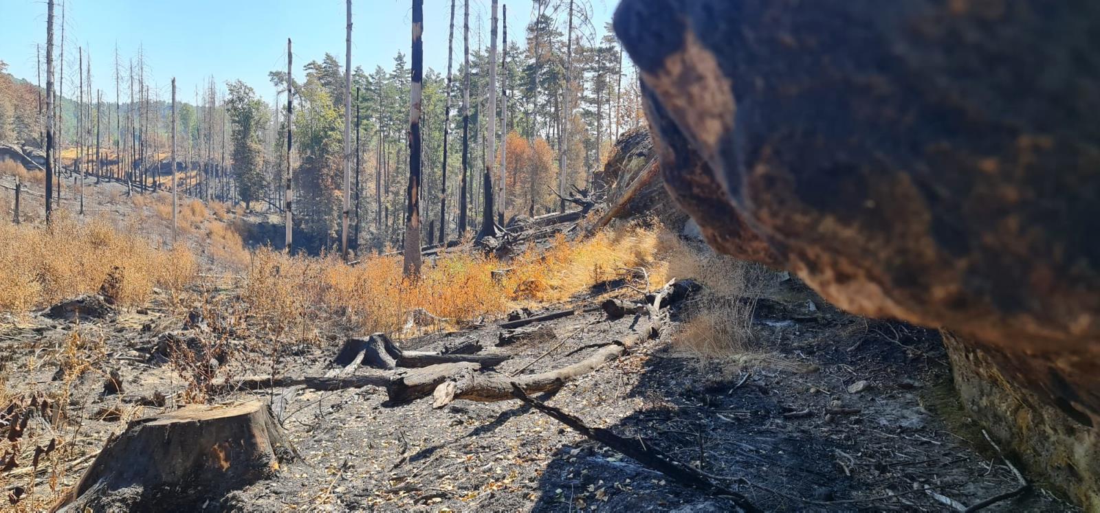 NPČŠ 4-8-2022 (10).jpg