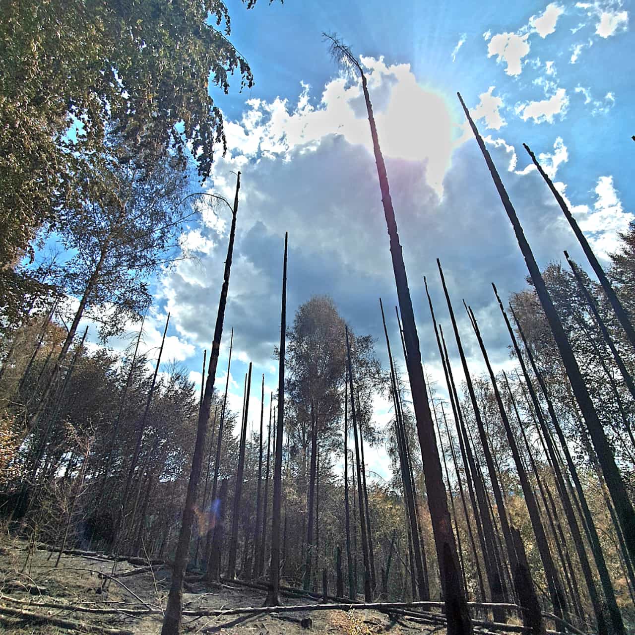 NPČŠ 4-8-2022 (7).jpg