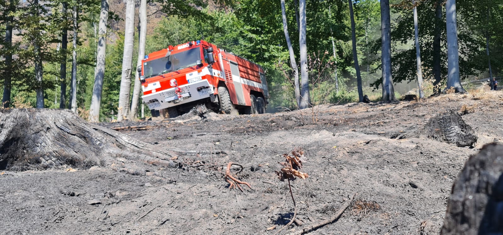 NPČŠ 4-8-2022 (8).jpg