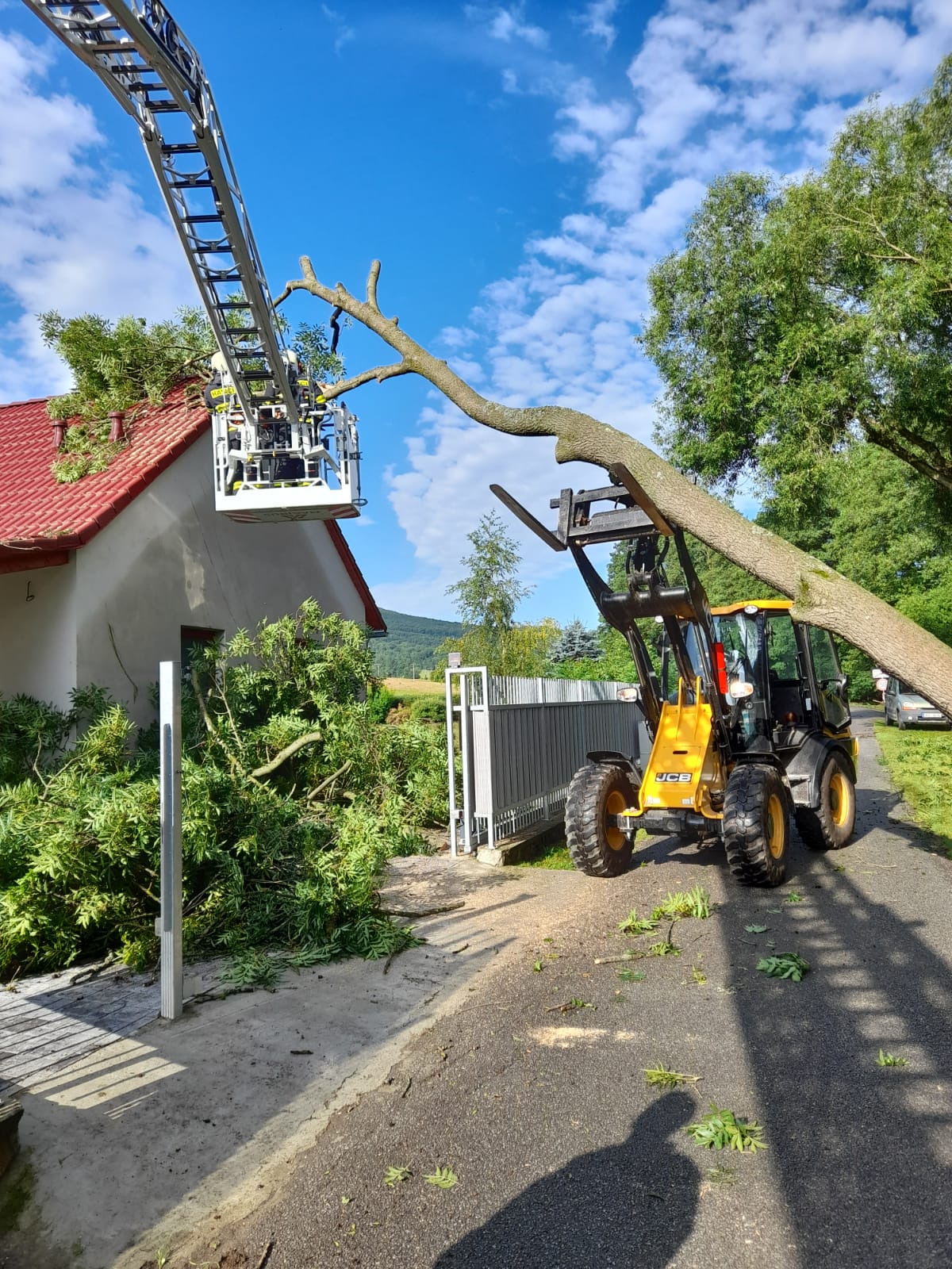 Odstranění podemletých stromů, Brloh - 30. 6. 2022 (1).jpg