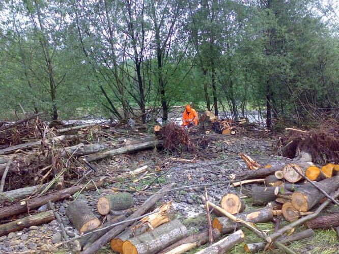 Odstraňování naplavenin