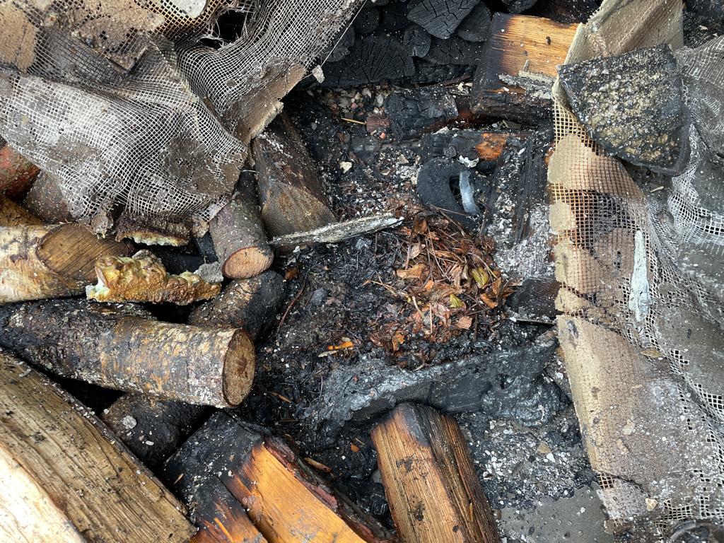 P Dvůr Králové nad Labem (2).jpeg