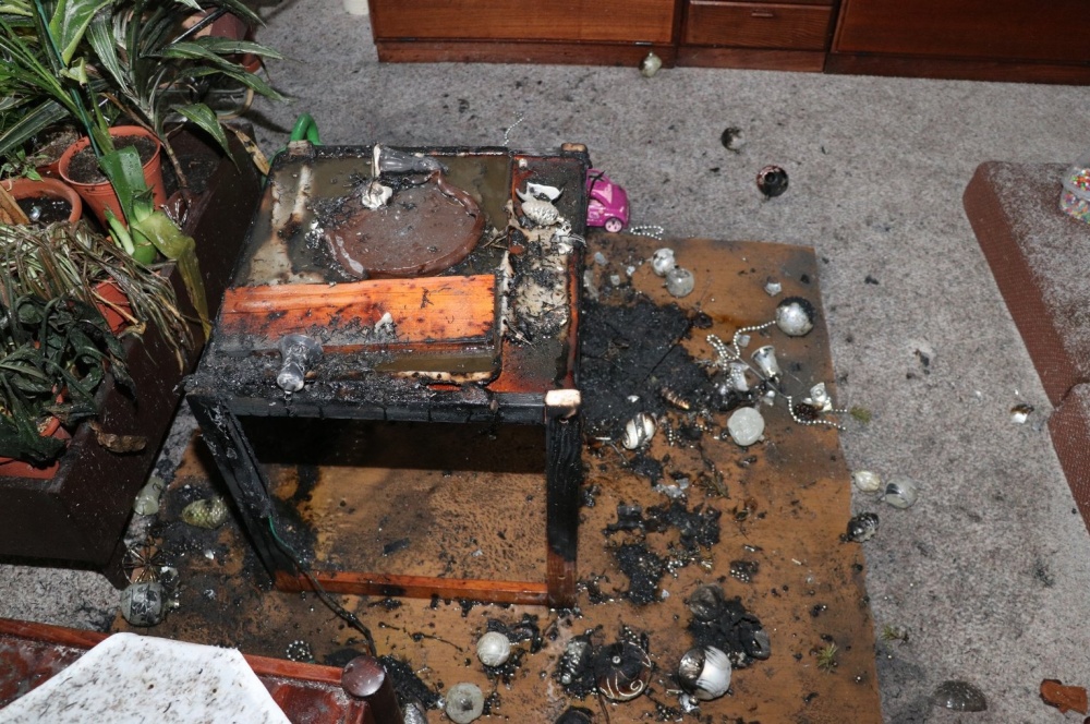 P HK, Kaštanová, stromeček (4).jpg