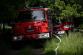 P Kounov (8)