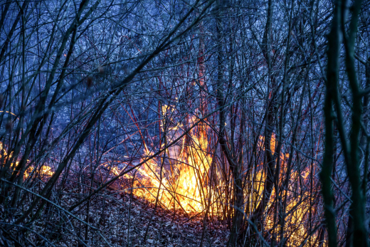 P Nové Město nad Metují (2).jpg
