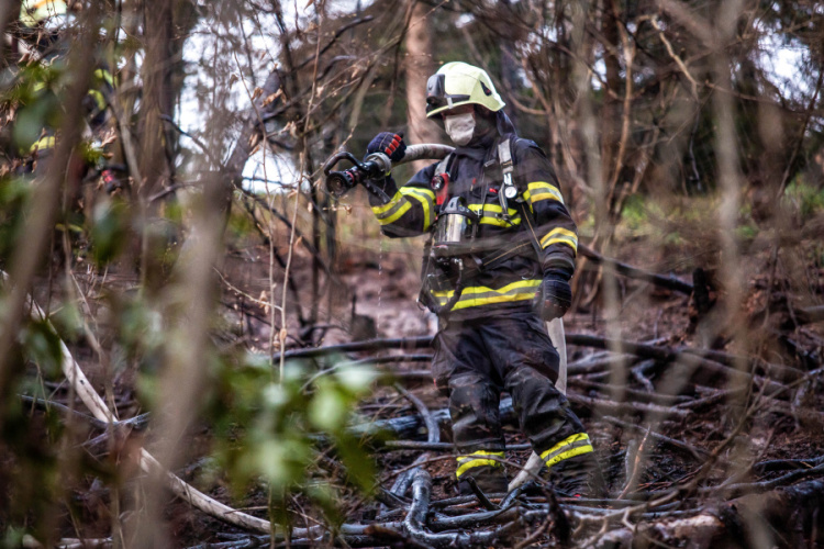 P Nové Město nad Metují (5).jpg