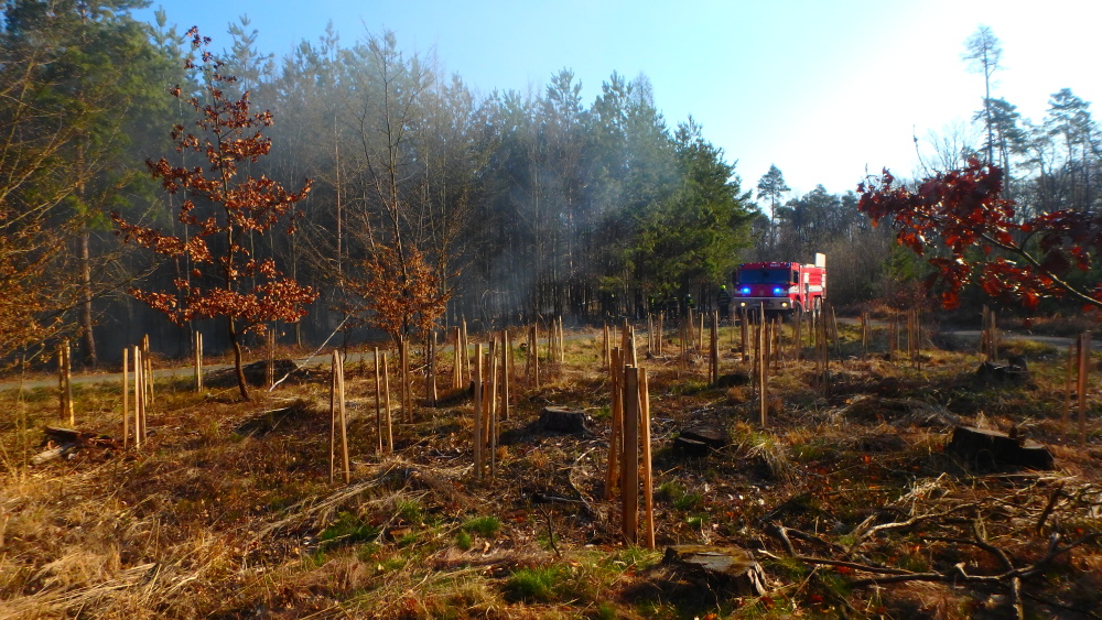 P Nový Ples (1).JPG