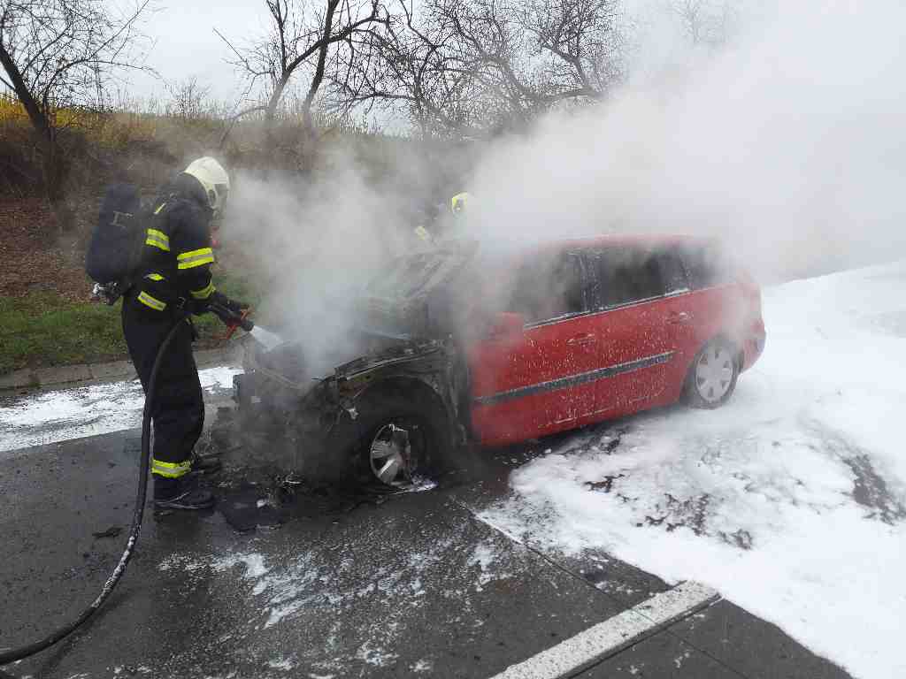 P OA (9).jpg