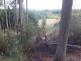 P Vidochov (1)