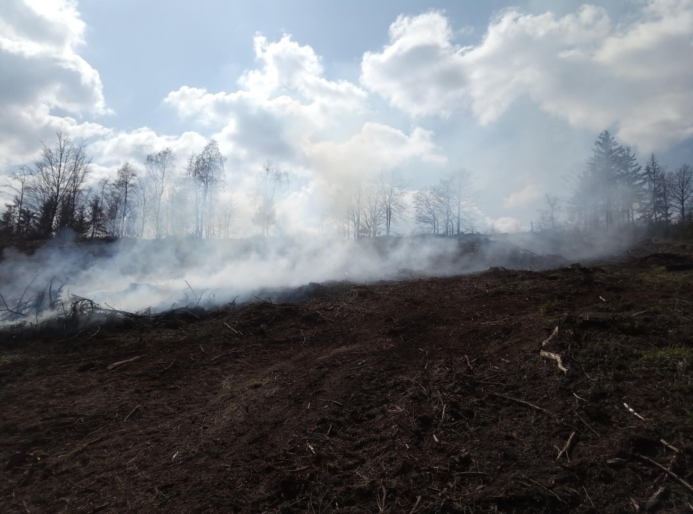 P lesa - Polsko, Chvaleč (1).jpg