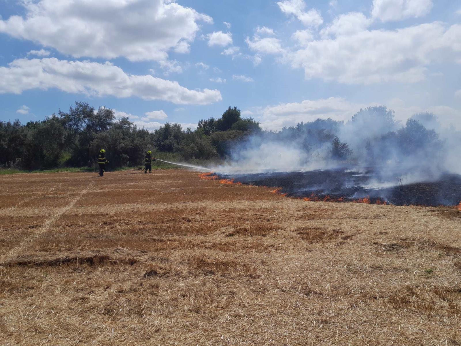 P strniště Přepeře