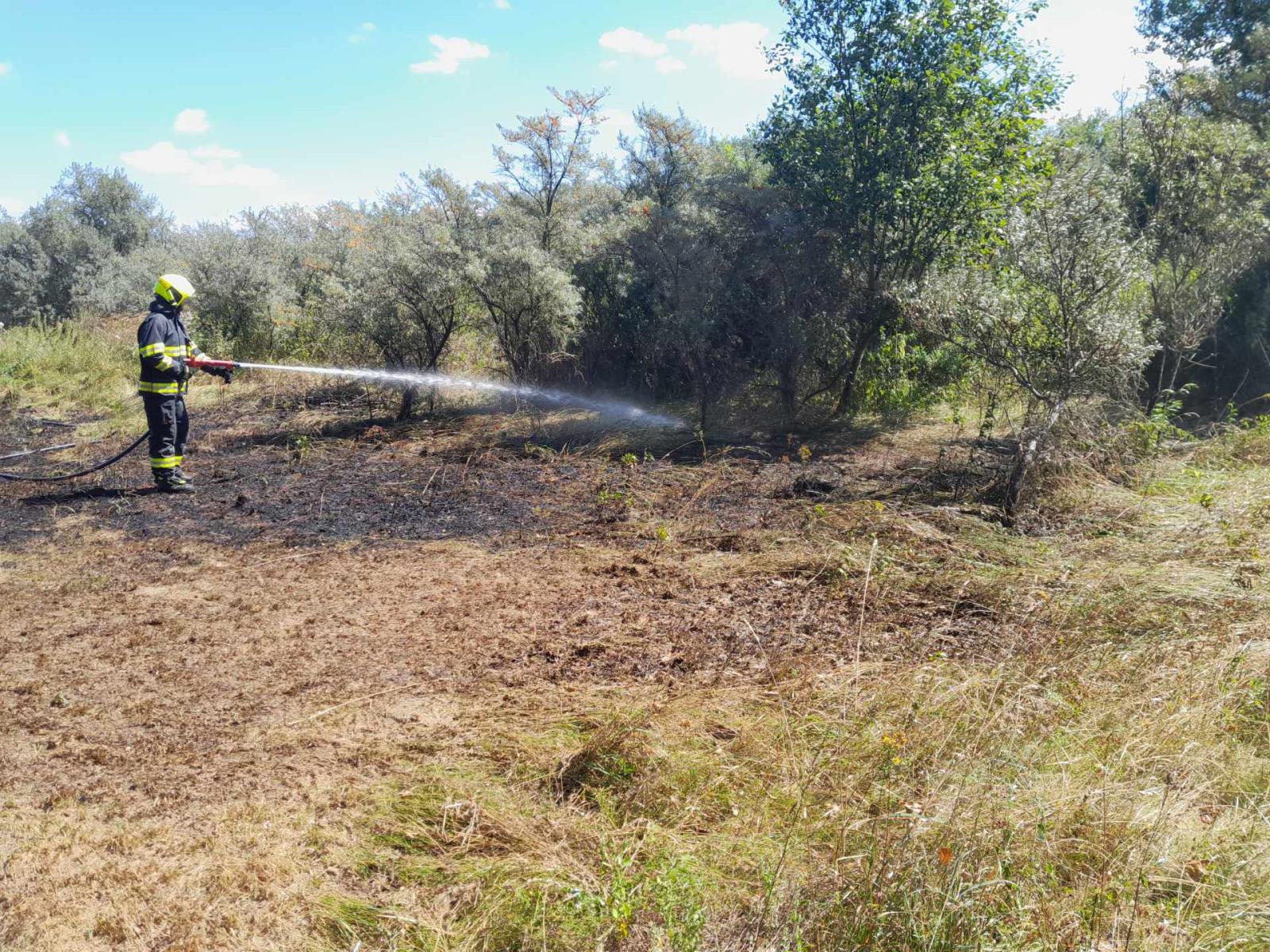 P strniště Přepeře