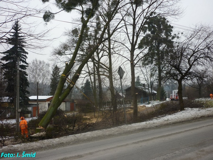 P1020724.jpg
