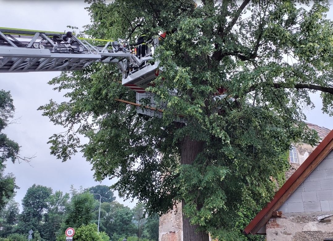 PAK_Hasiči na plošině odstraňují strom.jpg