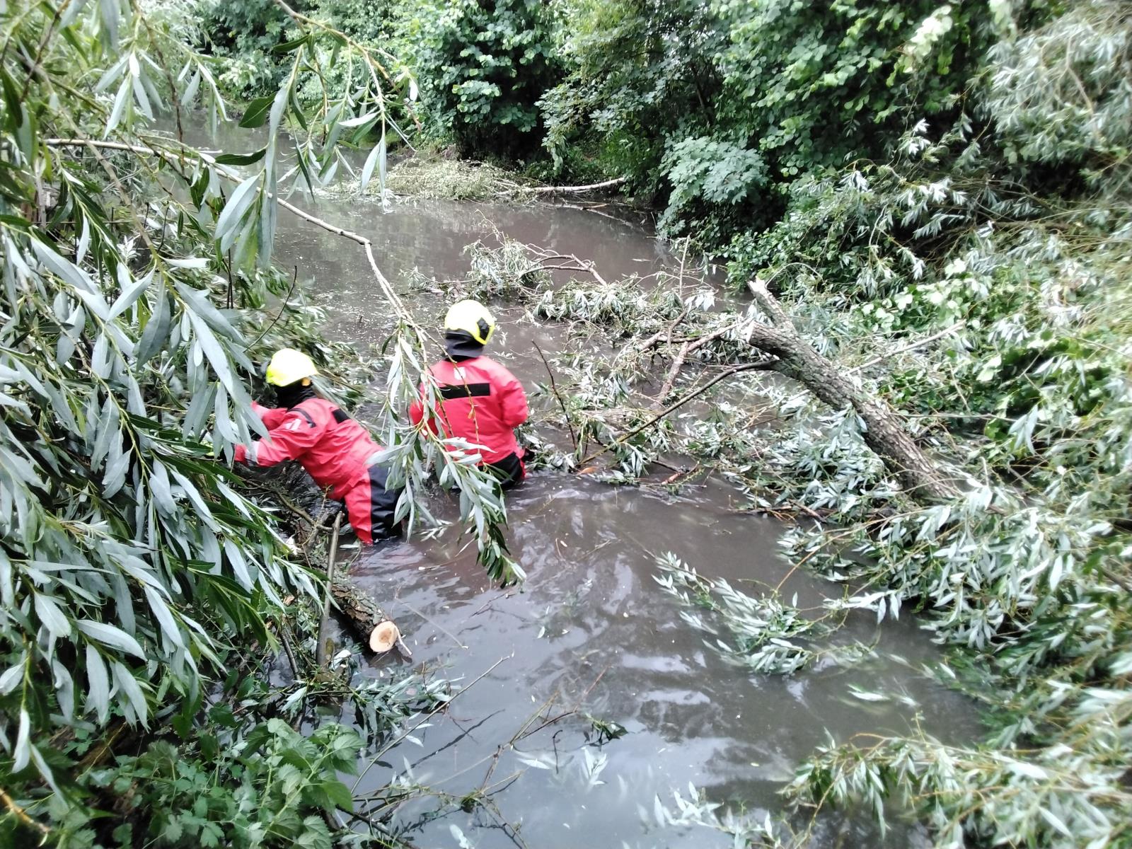 PAK_Hasiči odstraňují spadené stromy z koryta vodního toku.jpg